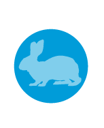 A blue circle with a light blue rabbit in the middle.